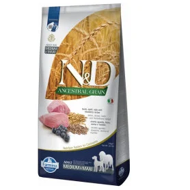 Farmina N&D Low Grain Dog Lamb and Blueberry Adult Medium and Maxi