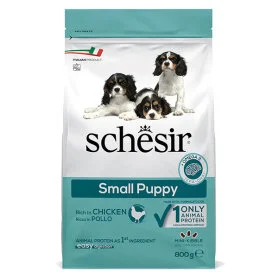 Schesir Dog Small Puppy
