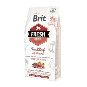 Brit Fresh Beef with Pumpkin Puppy Large Bones and Joints