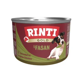 Rinti Gold mit Fasan