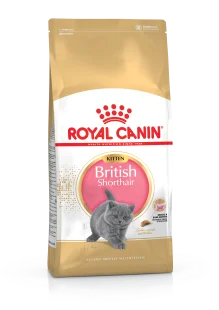 Royal Canin British Shorthair Kitten