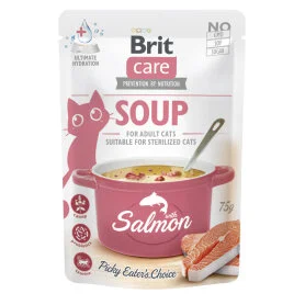 Brit Care Soup Salmon