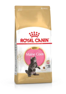 Royal Canin Maine Coon Kitten