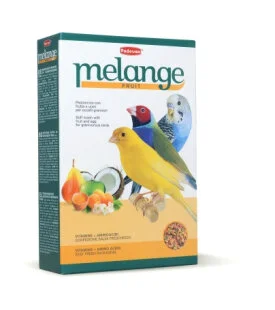 Дополнительный мягкий корм Padovan Mélange fruit – для зерноедных птиц