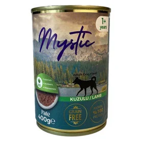 Mystic Dog Lamb