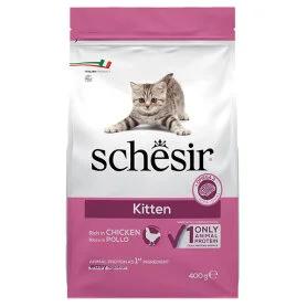 Schesir Cat Kitten